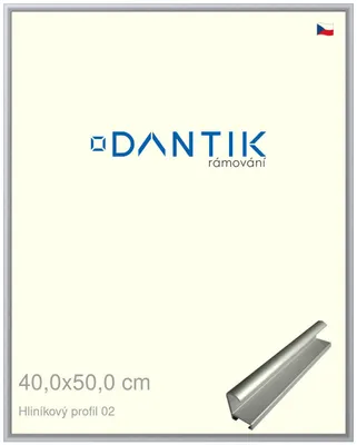 Zdjęcie produktu dla Rama DANTIK 40x50 | Profil ALU 7002 srebrny mat (szkło przezroczyste)