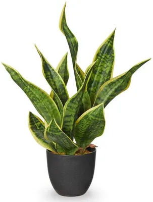 Immagine prodotto di Piante artificiali di canapa in vaso nero da 47 cm – Grandi piante decorative per soggiorno, camera da letto e bagno