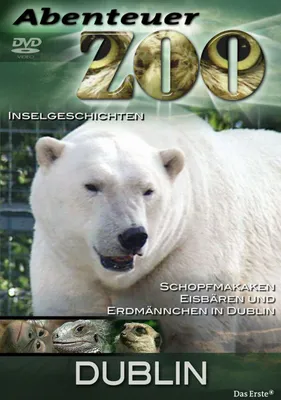 Produktbild von Abenteuer Zoo