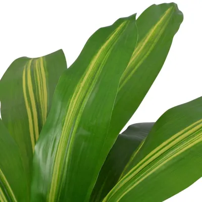 Immagine prodotto di Dracena Pianta Artificiale con Vaso 90 cm Verde