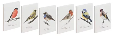 Produktbild von Set Notizbuch A6 Vögel 128S dotted lines 6 Stück