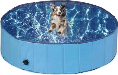 Immagine prodotto di Piscina per cani blu