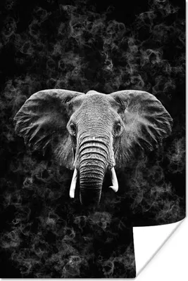 Produktbild von MuchoWow® Poster Elefant zwischen Rauchwolken - schwarz und weiß 40x60 cm - Plakate für die Wand - Poster Babyzimmer