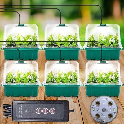 Produktbild von Mini-Backofen für 6 Stücke mit hohem Deckel, Timer-Controller (8 LEDs), Trays, Backofenmaßstab, 10 Etiketten und 2 Werkzeugen