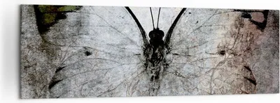 Produktbild von Bild auf Leinwand - Leinwandbild - Schmetterling Abstraktion - 160x50cm - Wand Bild - Wanddeko - Leinwanddruck - Bilder - Kunstdruck - Wanddekoration - Leinwand bilder - Wandkunst - AB160x50-3679