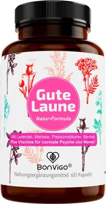 Produktbild von BonVigo® GUTE LAUNE - Für normale Funktion Nervensystem & Psyche (Vit. B7 B12) & Gehirn-Botenstoffe (Vit. B5) - Natur-Komplex Lavendel Passionsblume