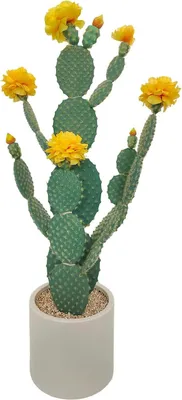 Obrázek produktu pro Umělý kaktus 88 cm – rostlina v květináči – plast – styl bonsai – pro venkovní použití – dekorace pro výstavy a výročí