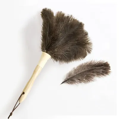 Immagine prodotto di Set di 2 spolverini con piume di struzzo e manico in legno, 29 cm