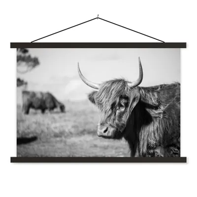 Produktbild von MuchoWow® Textilposter Schottischer Highlander - Tiere - Schwarz - Weiß 150x100 cm mit schwarzem Rahmen - Schlafzimmer