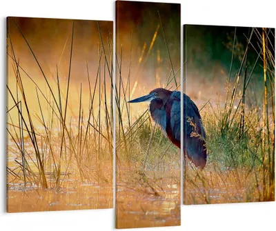 Produktbild von Bild auf Leinwand - Leinwandbild - Vogel Natur Wasser - 95x80cm - Wand Bild - Wanddeko - Wandbilder - Leinwanddruck - Bilder - Kunstdruck - Wanddekoration - Leinwand bilder - Wandkunst - CB95x80-3708