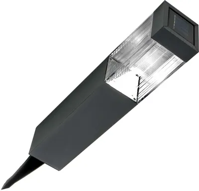 A single solar garden light with a pointed stake.