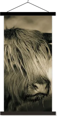 Produktbild von MuchoWow® Textilposter Schottisches Hochlandrind - Tiere - Haare 40x80 cm mit schwarzem Rahmen - Wandemalerei