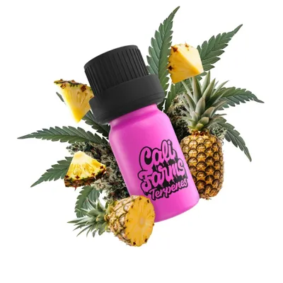Immagine prodotto di Terpeni di cannabis Botanicals | TERPENE PROFILE - Pineapple Slushie | 1 ml
