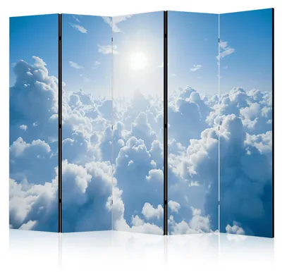 Produktbild von Muralo Beidseitig bedruckter PARAVENT 5-teilig Raumteiler klappbar SONNE HIMMEL UND WOLKEN 3D 225cmx172cm