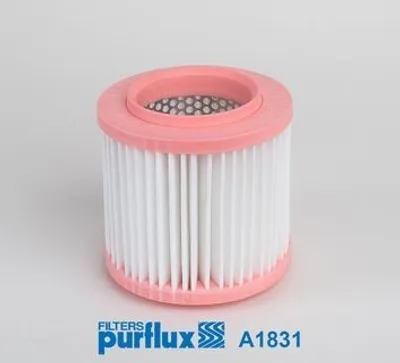 Produktbild von PURFLUX A1831 Luftfilter für AUDI A8 (4E2, 4E8)