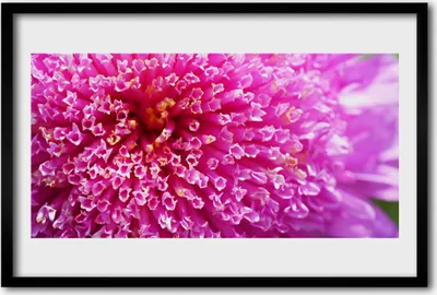 Produktbild von Bild 60x40 MDF-Rahmen Wandkunst Blume auf Wand