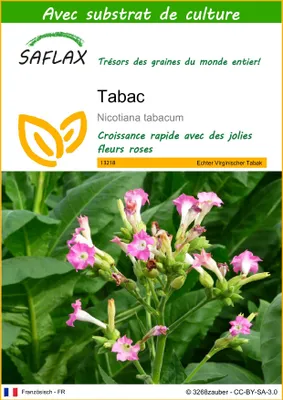 Image de SAFLAX  - Tabac - 250 graines - Avec substrat - Nicotiana
