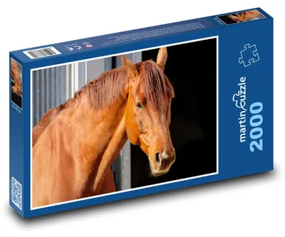Obrázok produktu pre martinpuzzle - Puzzle 2000 - Kôn