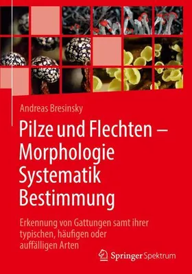Obrázek produktu pro Pilze und Flechten - Morphologie, Systematik, Bestimmung