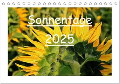 Produktbild von Sonnentage 2025 (Tischkalender 2025 DIN A5 quer), CALVENDO Monatskalender