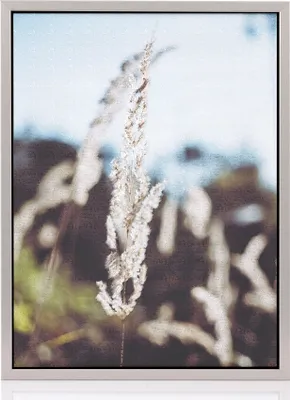 A framed artwork of dried grass against a blurred background.