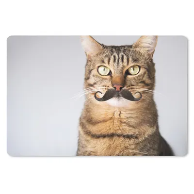 Produktbild von MuchoWow® Mauspad Mousepad Katze - Schnauzbart - Hipster 27x18 cm - Mousepads - Maus Mat - Pad - Mausunterlage - Büroartikel - Desk Matten