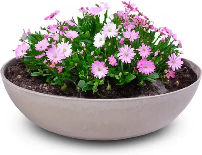 Image de Jardinière ronde ventrue de 30 cm pour l'extérieur, marbrée sable