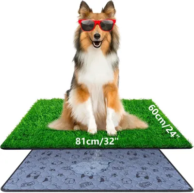 Obrázok produktu pre Psie toalety 81x60 cm, umelá tráva, umývateľná, pre výcvik psov