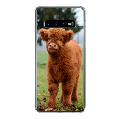 Produktbild von MuchoWow® Handyhülle Schutzhülle Hülle für Samsung Galaxy S10 Scottish Highlander - Kalb - Gras Silikon Softcase Handy Hülle - Handytasche