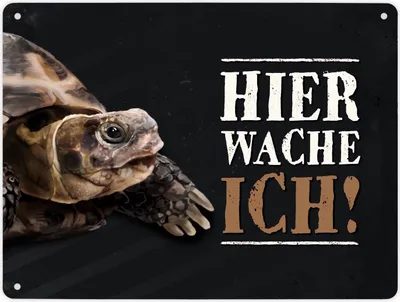 Produktbild von Hier wache ich! Metallschild XL mit Schildkröte Motiv Schild Blechschild