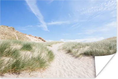 Produktbild von MuchoWow® Poster Strand - Düne - Gras 180x120 cm - Fotoplakat