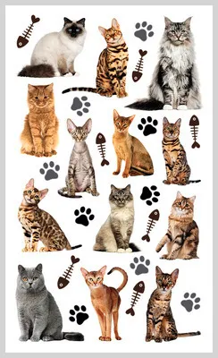 Produktbild von Ministicker Kinder Katzen 29-tlg.