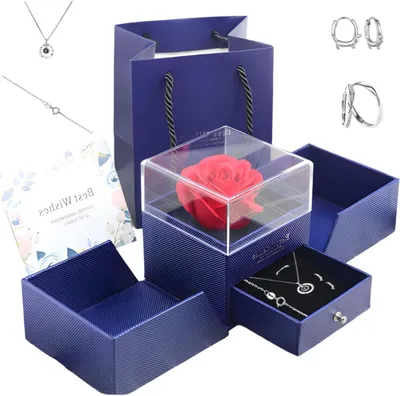 Productafbeelding van Eeuwige Roos - Geconserveerde Bloem - Romantisch Cadeau - Met S925 Zilveren Ketting - Muziekdoos - Rood