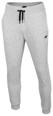 Zdjęcie produktu dla Spodnie dresowe męskie 4F XXL