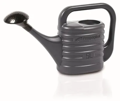 Image de Prosperplast Arrosoir de jardin ZEBRA anthracite 5l IKZ05-S433