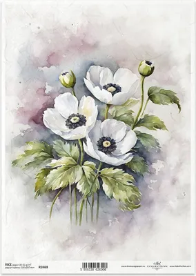 Produktbild von ITD Reispapier Decoupage Bastelpapier Serviettentechnik-R2468 Mohnblumen