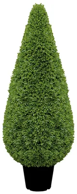 Produktbild von KEGEL - Buchsbaum in grün - H. 120cm x B. 40cm - Dekobaum