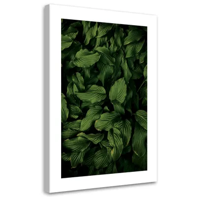 Image de Toile « Feuilles vert foncé » 70 x 100 Feeby Vert Image pour le mur, prête à être accrochée