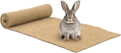 Produktbild von PUEAZU Nagermatte Jute 0,5x1 m 5 mm - Sonstiges Kleintierzubehör &14952