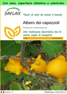 Immagine prodotto di SAFLAX Garden to go - Albero dei capezzoli - 10 semi - Solanum