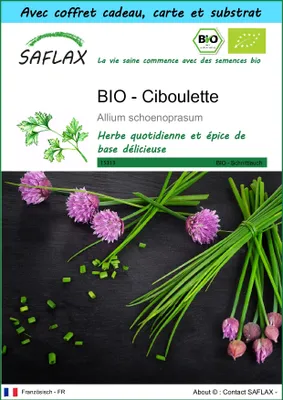 Image de SAFLAX Ensemble-cadeau -- Ciboulette - 250 graines - Allium