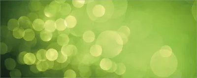 Produktbild von Wallario Poster - Abstrakte grüne Kreise  grüne Lichtpunkte, Kunstdruck Größe: 80 x 200 cm