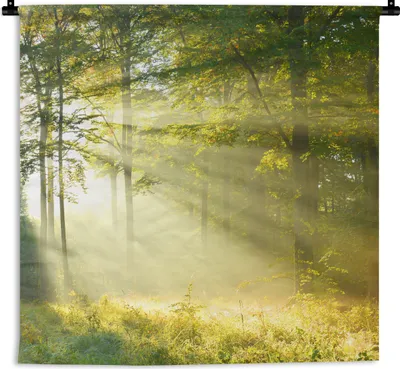 Produktbild von MuchoWow® Wandteppich Wandbehang Wald - Licht - Frühling 150x150 cm Tapisserie Dekoration Wandtuch - Wohnaccessoires - Modernes