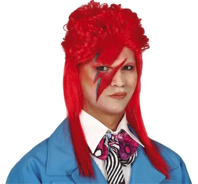 Produktbild von 70er Jahre Popstar Perücke für Herren
