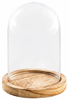 Transparente Glasglocke mit gewölbter Haube auf rundem naturfarbenem Holzsockel vor weißem Hintergrund.