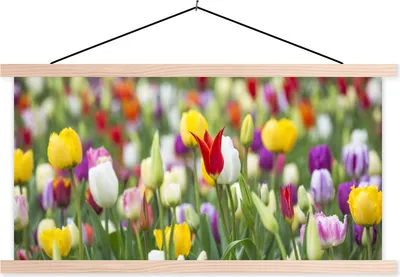 Produktbild von MuchoWow® Textilposter Blumen - Farben - Frühling 60x30 cm mit holzfarbenen Rahmen - Dekoration