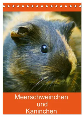 Produktbild von Meerschweinchen und Kaninchen Familienplaner (Tischkalender 2027 DIN A5 hoch), CALVENDO Monatskalender
