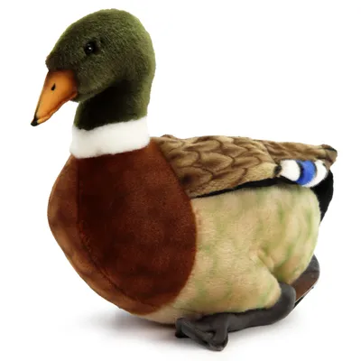 Produktbild von Ente 30cm Stockente Erpel Vogel Wasservogel Realistisch Deko Stofftier Plüschtier