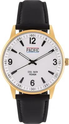 Image de Montre pour homme Pacific Premium