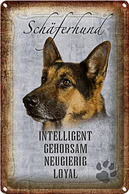 Produktbild von Blechschild Spruch 20x30cm Schäferhund Hund